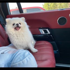 Meet your Posher, Mingwei